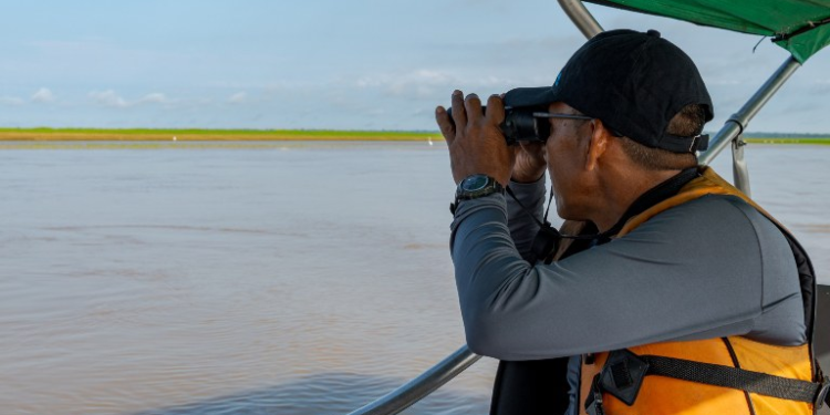 Botos: No Amazonas, instituto diz que intensificou monitoramento após seca extrema