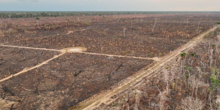 AM: Polícia Federal combate queimadas e desmatamento gerou prejuízo de R$ 138 milhões