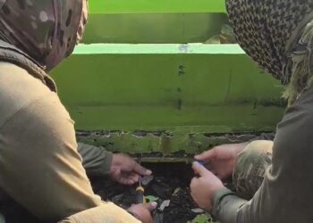 Polícia Federal, Civil e Militar apreendem mais de 160 kg de droga no Amazonas