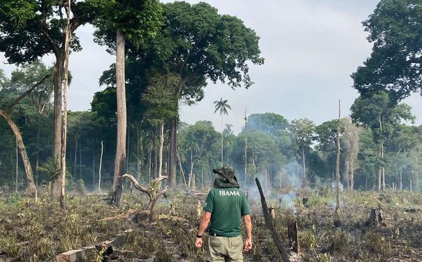 Ibama aplica mais de R$ 1 milhão em multa por combate a desmatamento ilegal no Amazonas