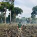 Ibama aplica mais de R$ 1 milhão em multa por combate a desmatamento ilegal no Amazonas