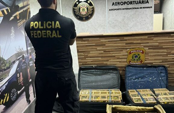 Polícia Federal resgata mais de 300 pássaros em malas no Aeroporto de Manaus