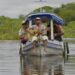 Videoclipe de Marcelo Nakamura em parceria com Otto concorre no Amazônia (Fi)Doc