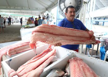 Governo do Amazonas comercializa mais de 100 toneladas de peixes na primeira edição especial do Feirão do Pescado em Manaus