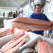 Governo do Amazonas comercializa mais de 100 toneladas de peixes na primeira edição especial do Feirão do Pescado em Manaus