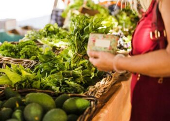 Exporta Mais Brasil 2024: Amazônia é destaque em rodada de negócios de cosméticos