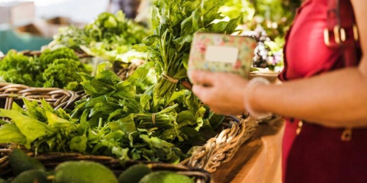 Exporta Mais Brasil 2024: Amazônia é destaque em rodada de negócios de cosméticos