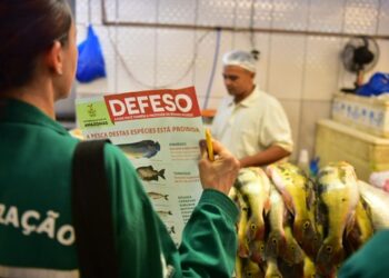 Conheça as espécies de peixe que estão no Período de Defeso do Amazonas