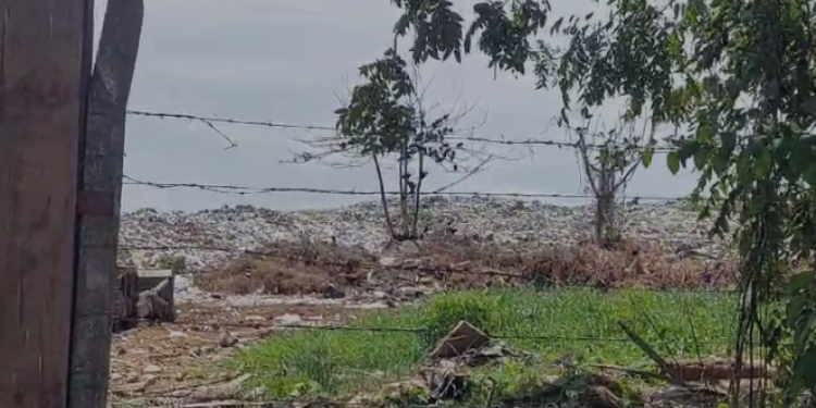 No Amazonas, maioria dos municípios destina o lixo para vazadouros à céu aberto