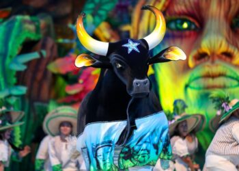 Ministério Público, Boi Caprichoso e MPT firmam acordo para garantir segurança no Festival de Parintins