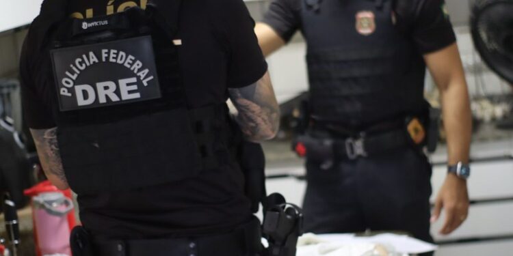 Com ações no Amazonas, PF combate desmatamento ilegal em terras da União