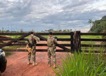 PF combate grilagem de terras e lavagem de dinheiro no Amazonas