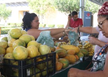 ADS promove última edição especial do ano da Feira de Produtos Regionais no Studio 5 Shopping e Convenções