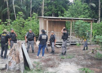No Amazonas, colombiana é resgatada após sequestro; bandidos foram presos pela polícia