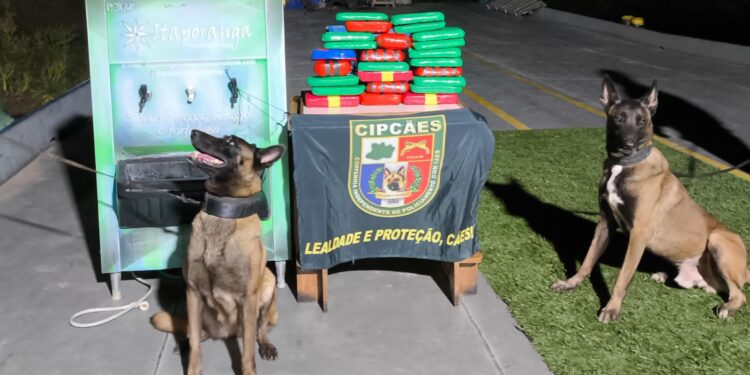 Cão policial localiza cocaína dentro de bebedouro em embarcação no Amazonas