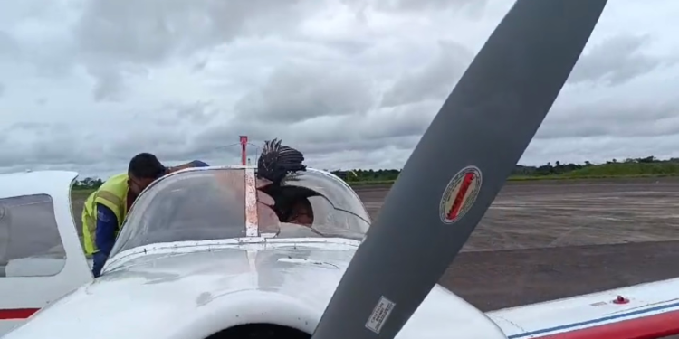 No interior do Amazonas, urubu colide com aeronave e fica preso em cabine; veja vídeo