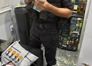 No Pará, PF mira organização criminosa que movimentou R$ 4 bilhões em ouro ilegal