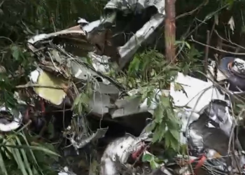 Avião que caiu em Manicoré é encontrado; não houve sobrevivente