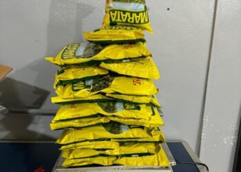 Polícia Federal apreende 26 kg de drogas em aeroportos no Amazonas