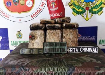 Policiais apreendem entorpecentes escondidos em caixa de isopor com peixes