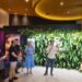Filmes, parque infantil e espaço interativo da Globo: Confira a programação de férias no Manauara Shopping