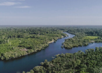 Edital que vai investir até R$ 2 milhões em inovação indígena aceita negócios em processo de constituição