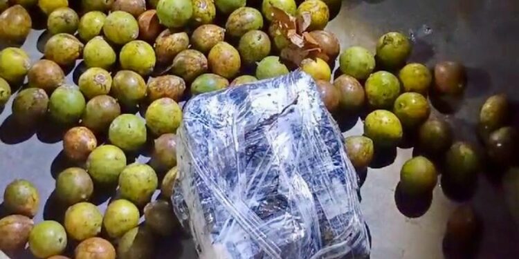 No Amazonas, traficantes escondem drogas em sacas de tucumã