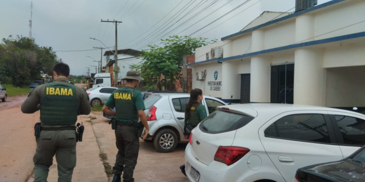 Ibama multa prefeitura e prefeita de município do Amazonas após quelônio ser servido em evento oficial