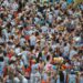 Carnaval na Floresta 2025: Inscrições para edital de apoio a blocos e bandas se encerram nesta quarta-feira