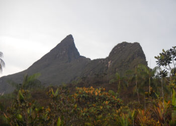 Conheça curiosidades e desafios do Pico da Neblina no Amazonas
