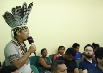 Após recomendação da DPE-AM, Serviço Florestal Brasileiro amplia prazo de contribuição a edital de concessão florestal 