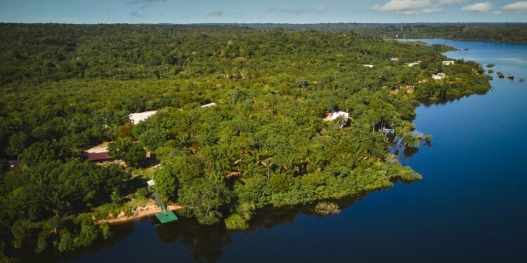 Turismo sustentável e pesca esportiva geram faturamento de R$ 6,3 milhões no Amazonas, diz FAS