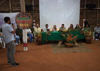 Em São Gabriel da Cachoeira, DPE-AM participa de reunião com a presidenta da Funai  