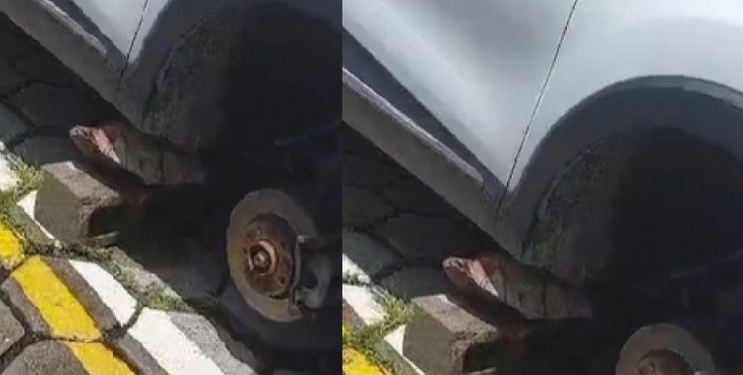 Especialista em segurança diz que receptadores lucram com furtos de pneus de carros