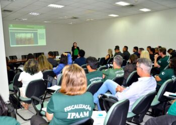 Ipaam lança site exclusivo de acompanhamento da Operação Tamoiotatá