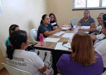 Em Tefé, Defensoria do Amazonas alinha ações com o Conselho Municipal dos Direitos da Mulher