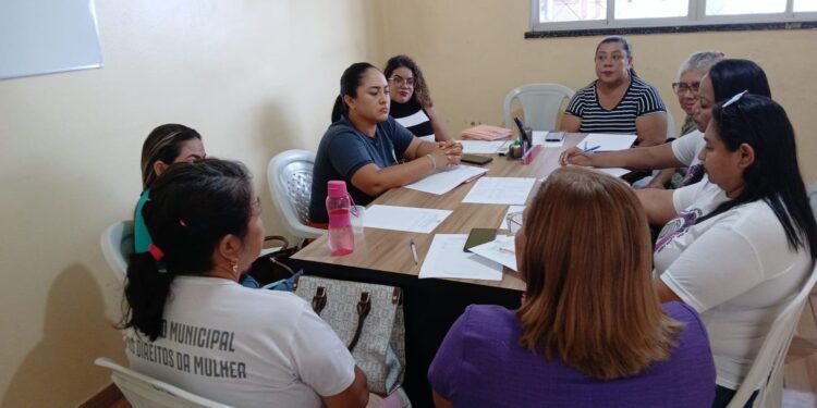 Em Tefé, Defensoria do Amazonas alinha ações com o Conselho Municipal dos Direitos da Mulher