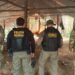 Força-tarefa resgata trabalhadores em condições análogas à escravidão no Amazonas
