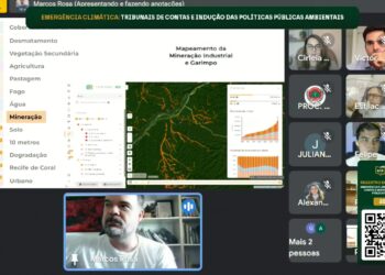 Estratégias Climáticas e atuação dos Tribunais de Contas marcam 2º dia de Webinar