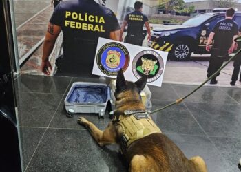 Polícia Federal prende mulher que tentava levar drogas para Brasília em mala