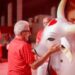 Jair Mendes, lendário artista do Boi-Bumbá de Parintins, morre em Manaus