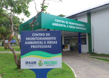 Ipaam registra queda de 99,85% no desmatamento e 85,43% nos focos de calor no Amazonas