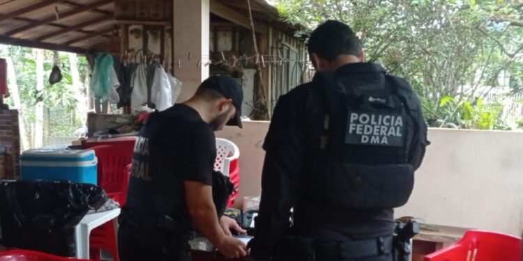 PF e Ibama prendem investigado por desmatamento ilegal, lavagem de dinheiro e invasão no Amazonas