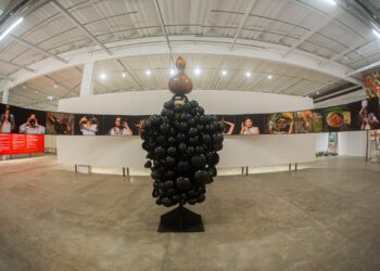 Bienal das Amazônias chega a Manaus com mostra itinerante