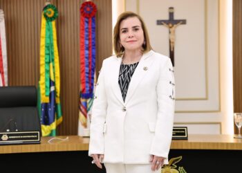 Educação, qualificação e controle: A base da eficiência na gestão pública