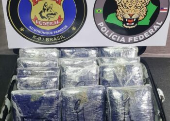 Polícia Federal prende homem que tentava embarcar com drogas para o Pará