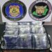 Polícia Federal prende homem que tentava embarcar com drogas para o Pará