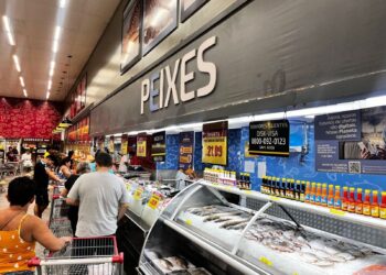 Plataforma identifica áreas prioritárias para restauração florestal