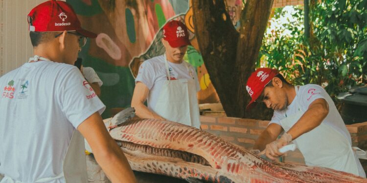FAS: Tecnologia social impulsiona manejo sustentável do pirarucu na Amazônia