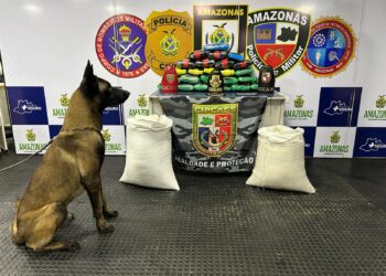 Polícia apreende drogas em sacos com farinha no Amazonas